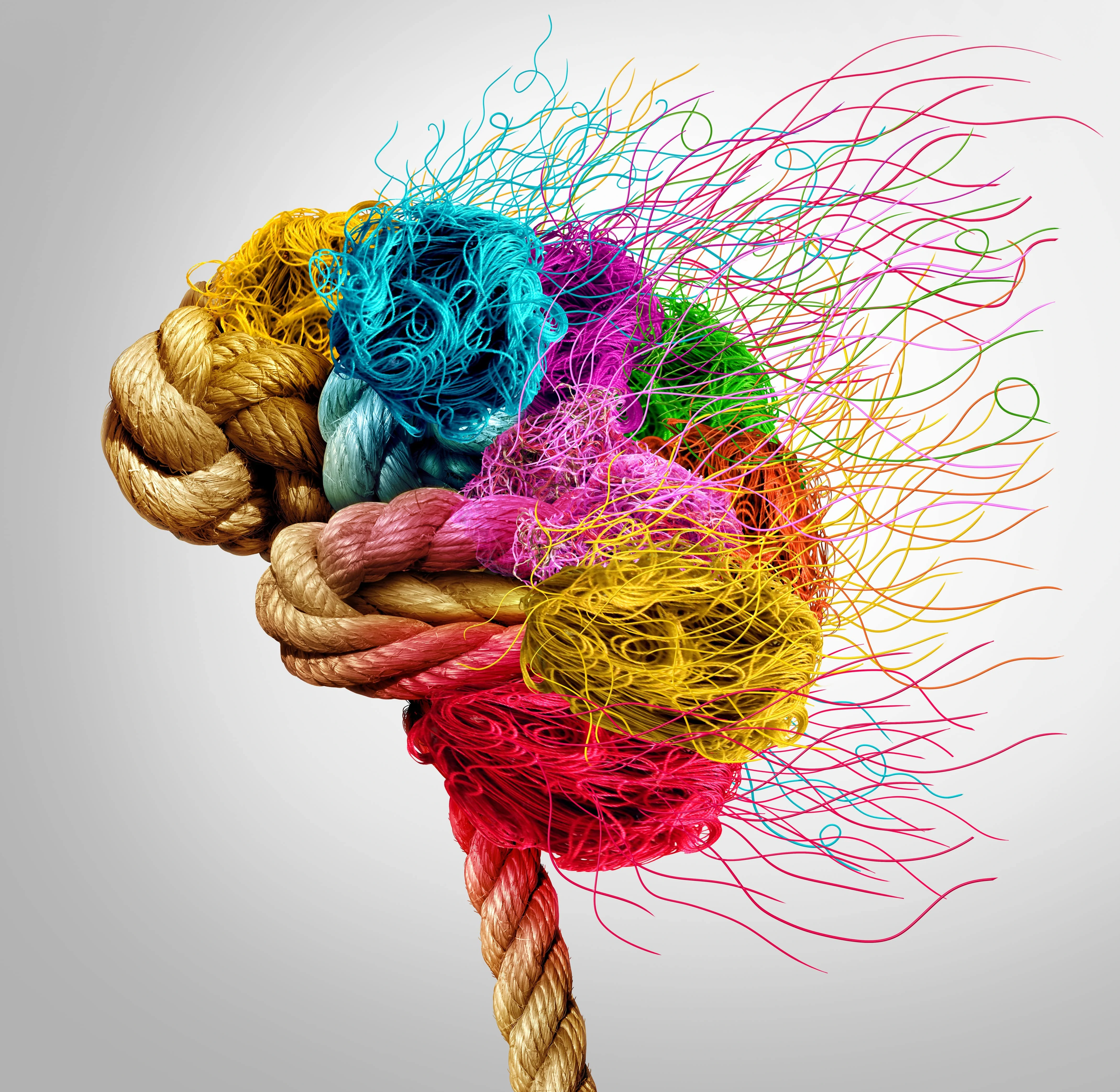 Brain Concept